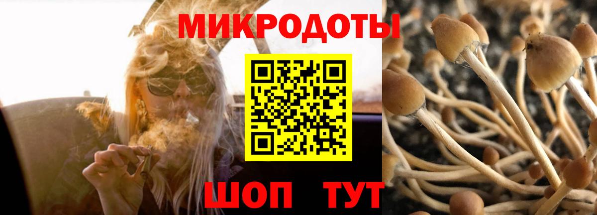 Псилоцибиновые грибы мухоморы Богородицк