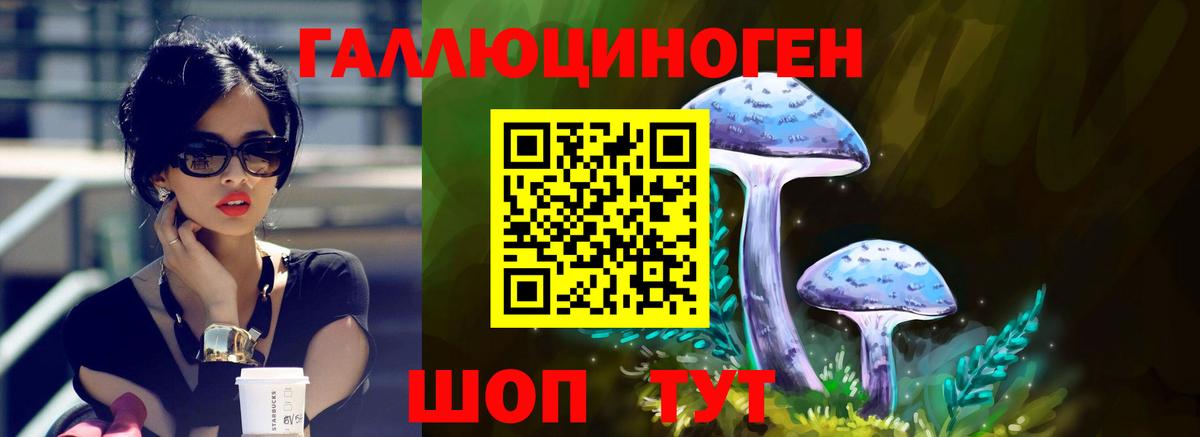 APVP Богородицк
