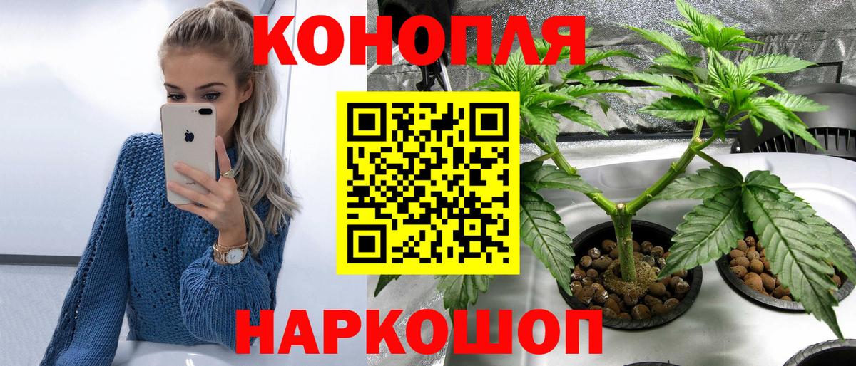 Конопля планчик Богородицк